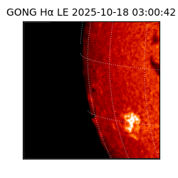 gong - 2025-10-18T03:00:42