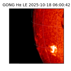 gong - 2025-10-18T06:00:42