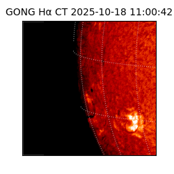gong - 2025-10-18T11:00:42
