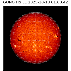 gong - 2025-10-18T01:00:42
