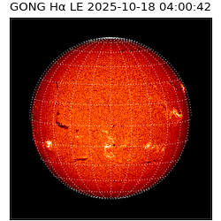 gong - 2025-10-18T04:00:42