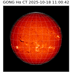 gong - 2025-10-18T11:00:42