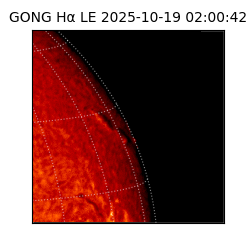 gong - 2025-10-19T02:00:42