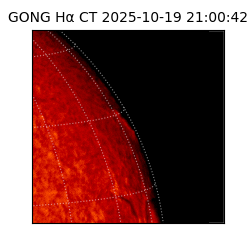 gong - 2025-10-19T21:00:42