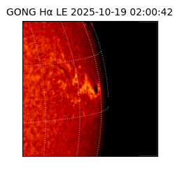 gong - 2025-10-19T02:00:42