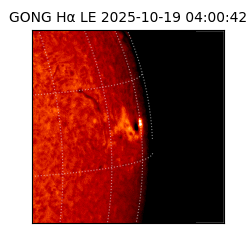 gong - 2025-10-19T04:00:42
