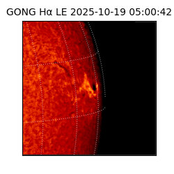 gong - 2025-10-19T05:00:42