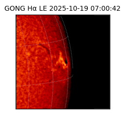 gong - 2025-10-19T07:00:42