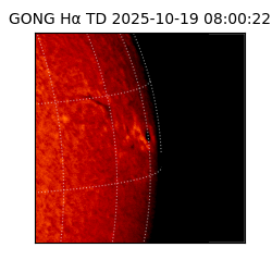 gong - 2025-10-19T08:00:22
