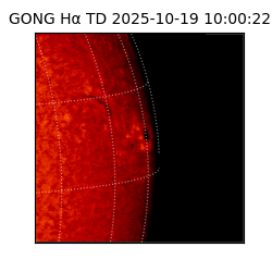 gong - 2025-10-19T10:00:22