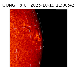 gong - 2025-10-19T11:00:42