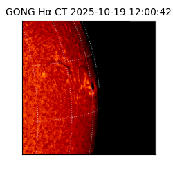 gong - 2025-10-19T12:00:42
