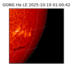 gong - 2025-10-19T01:00:42