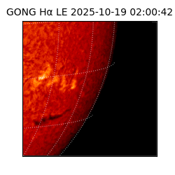 gong - 2025-10-19T02:00:42