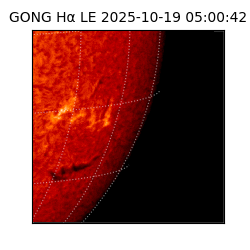 gong - 2025-10-19T05:00:42