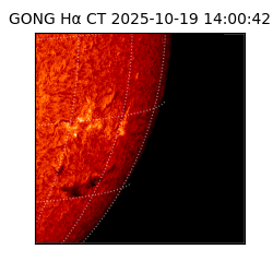 gong - 2025-10-19T14:00:42