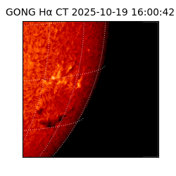 gong - 2025-10-19T16:00:42