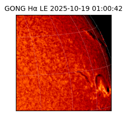 gong - 2025-10-19T01:00:42