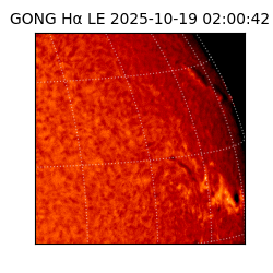 gong - 2025-10-19T02:00:42