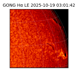 gong - 2025-10-19T03:01:42