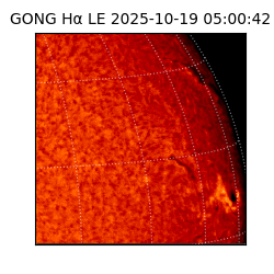gong - 2025-10-19T05:00:42