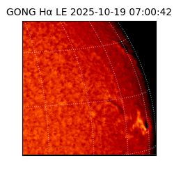 gong - 2025-10-19T07:00:42