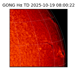 gong - 2025-10-19T08:00:22
