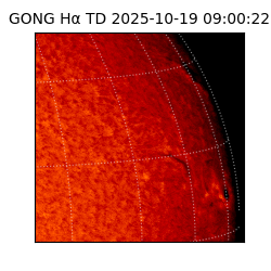 gong - 2025-10-19T09:00:22