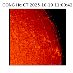 gong - 2025-10-19T11:00:42