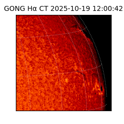 gong - 2025-10-19T12:00:42