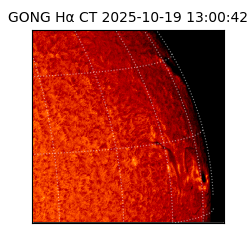 gong - 2025-10-19T13:00:42