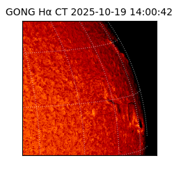 gong - 2025-10-19T14:00:42