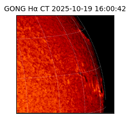 gong - 2025-10-19T16:00:42