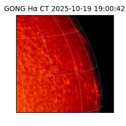 gong - 2025-10-19T19:00:42