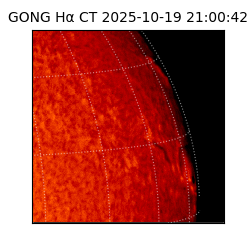 gong - 2025-10-19T21:00:42