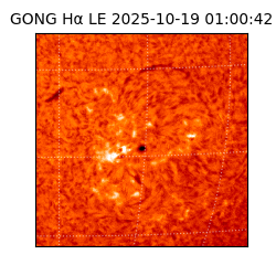 gong - 2025-10-19T01:00:42