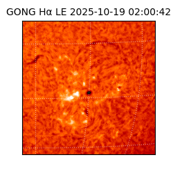 gong - 2025-10-19T02:00:42