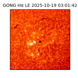 gong - 2025-10-19T03:01:42