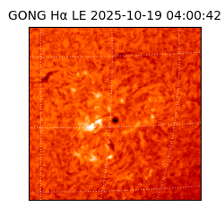 gong - 2025-10-19T04:00:42