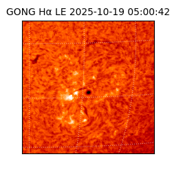 gong - 2025-10-19T05:00:42