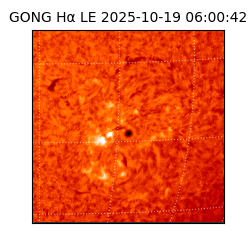 gong - 2025-10-19T06:00:42