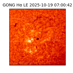 gong - 2025-10-19T07:00:42