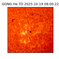 gong - 2025-10-19T08:00:22