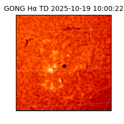 gong - 2025-10-19T10:00:22