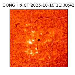 gong - 2025-10-19T11:00:42