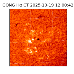 gong - 2025-10-19T12:00:42