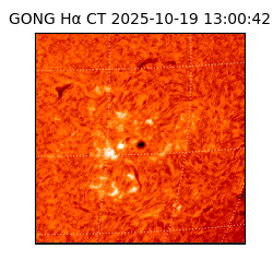 gong - 2025-10-19T13:00:42