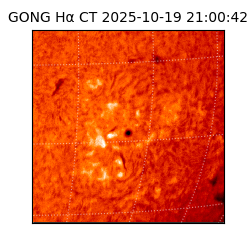 gong - 2025-10-19T21:00:42