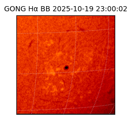 gong - 2025-10-19T23:00:02