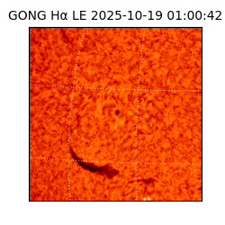 gong - 2025-10-19T01:00:42